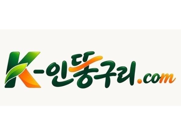 K-인똥구리 놀이문화 컨텐츠